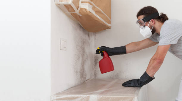 Professional Crawl Space Mold Remediation technician working in Glen Cove, NY